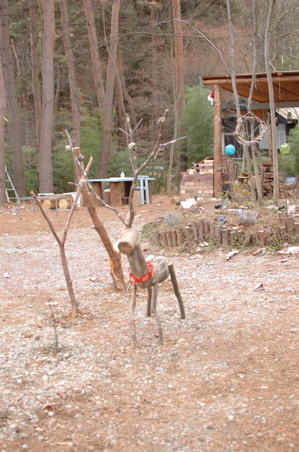 a0011999_237997.jpg