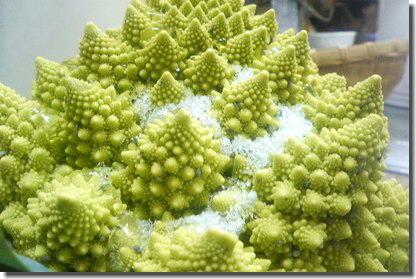 c0048701_2244494.jpg