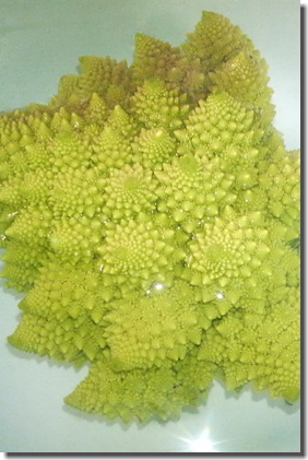 c0048701_22451452.jpg