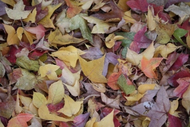 c0205806_2174850.jpg