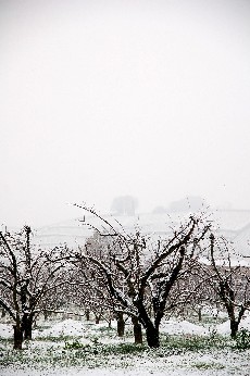 a0113208_8513534.jpg