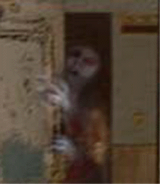 e0103408_14105148.gif