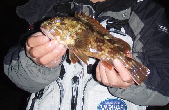 a0030715_123917.jpg