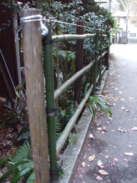 b0096418_201269.jpg