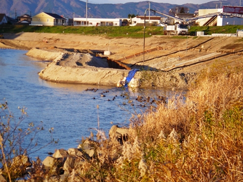d0144618_2016195.jpg