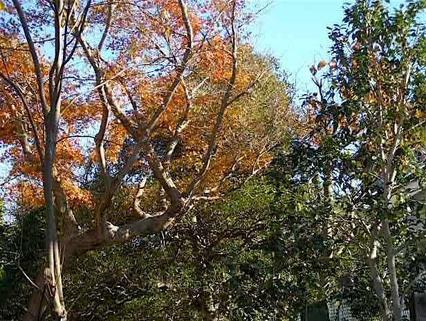 c0199728_23172197.jpg