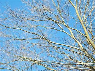 c0199728_231842.jpg