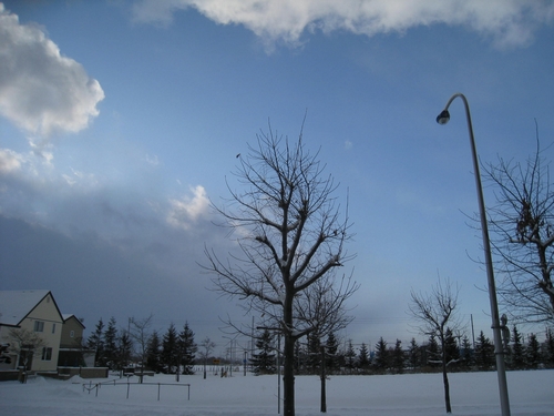 b0168830_9132056.jpg