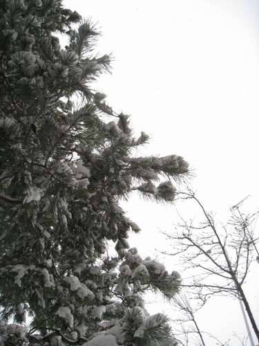 b0168830_913486.jpg