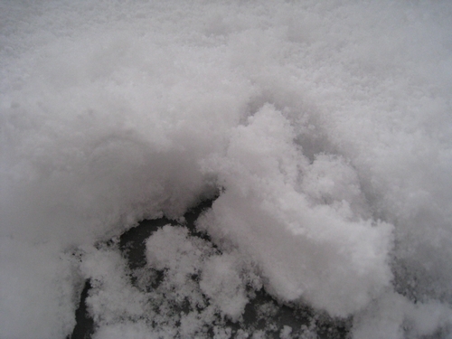 b0168830_914824.jpg