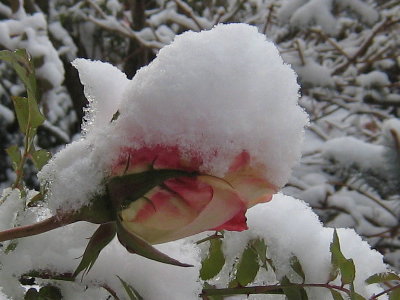 c0195439_7291994.jpg