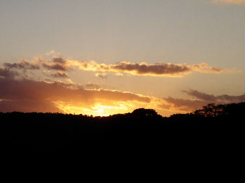 a0054240_2150584.jpg