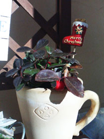 f0204440_034312.jpg