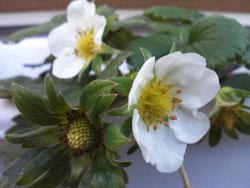 f0204440_0432959.jpg