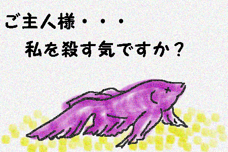 f0183846_14202819.gif