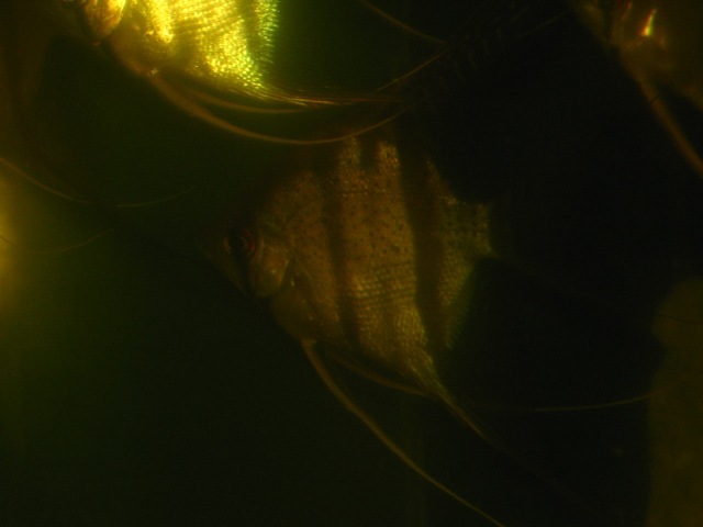 f0198950_22299.jpg