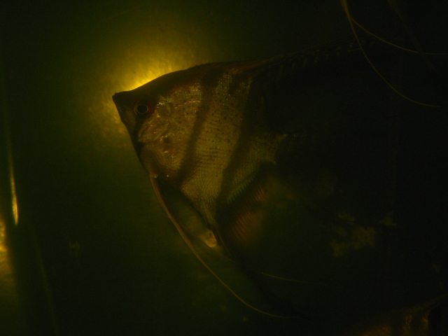 f0198950_2241656.jpg