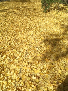 f0009451_22305583.jpg