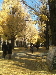 f0009451_22322160.jpg