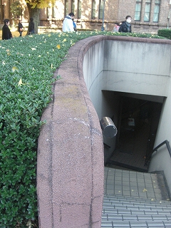 f0009451_22372649.jpg