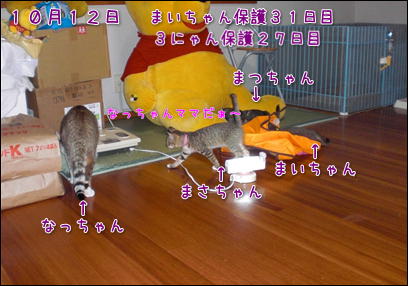d0139352_23381372.jpg