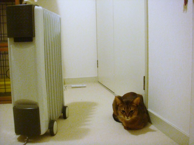c0211755_12115713.jpg