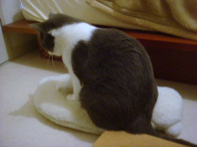 c0211755_1217499.jpg