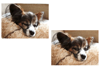 e0141159_2028235.gif
