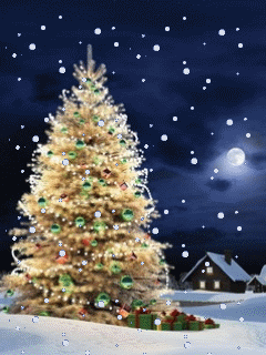 a0063364_23234344.gif