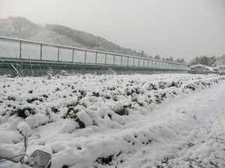 f0055264_19491229.jpg