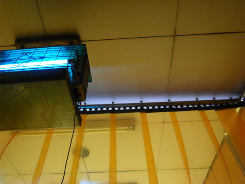 c0048265_0104426.jpg