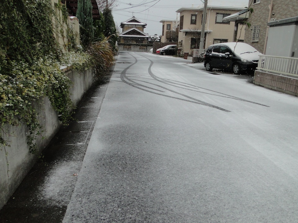 f0068368_2013594.jpg