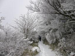 c0042869_18535387.jpg