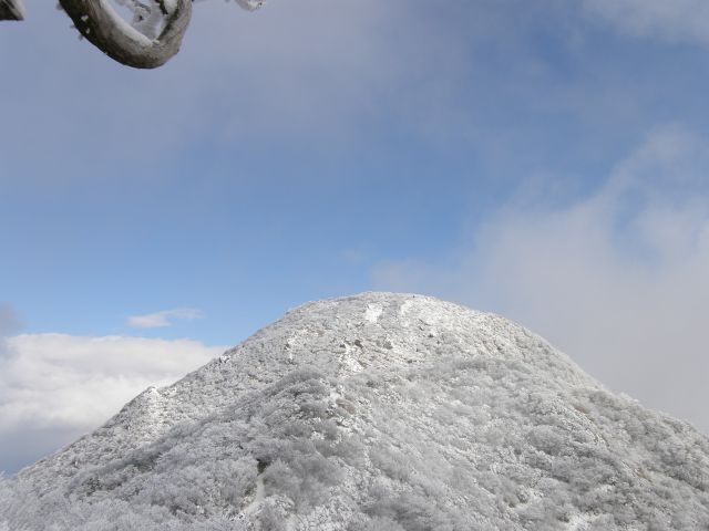 c0042869_18564517.jpg