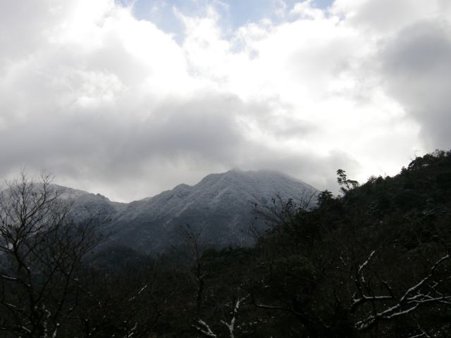 c0042869_195766.jpg