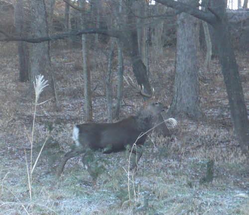 f0203369_2211486.jpg