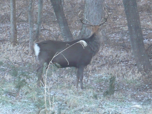 f0203369_2213031.jpg
