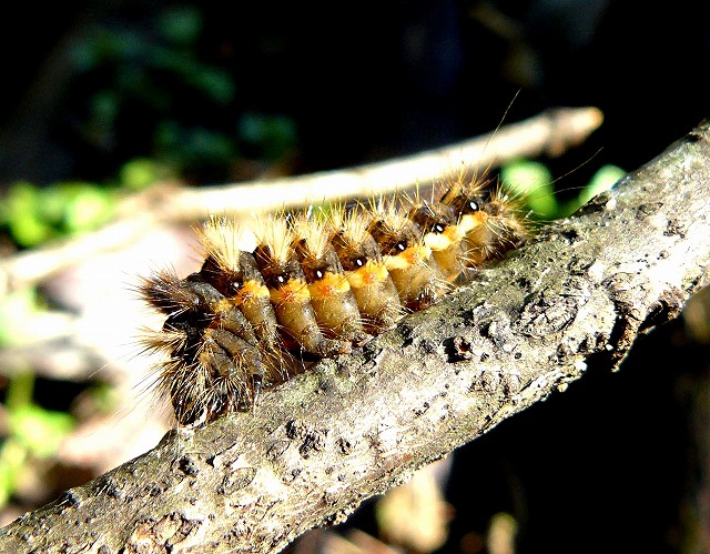 d0019074_18321831.jpg