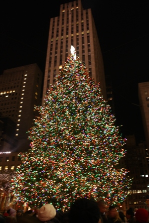a0100975_15434849.jpg