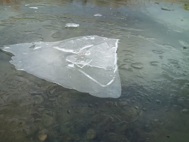 e0024081_19261711.jpg