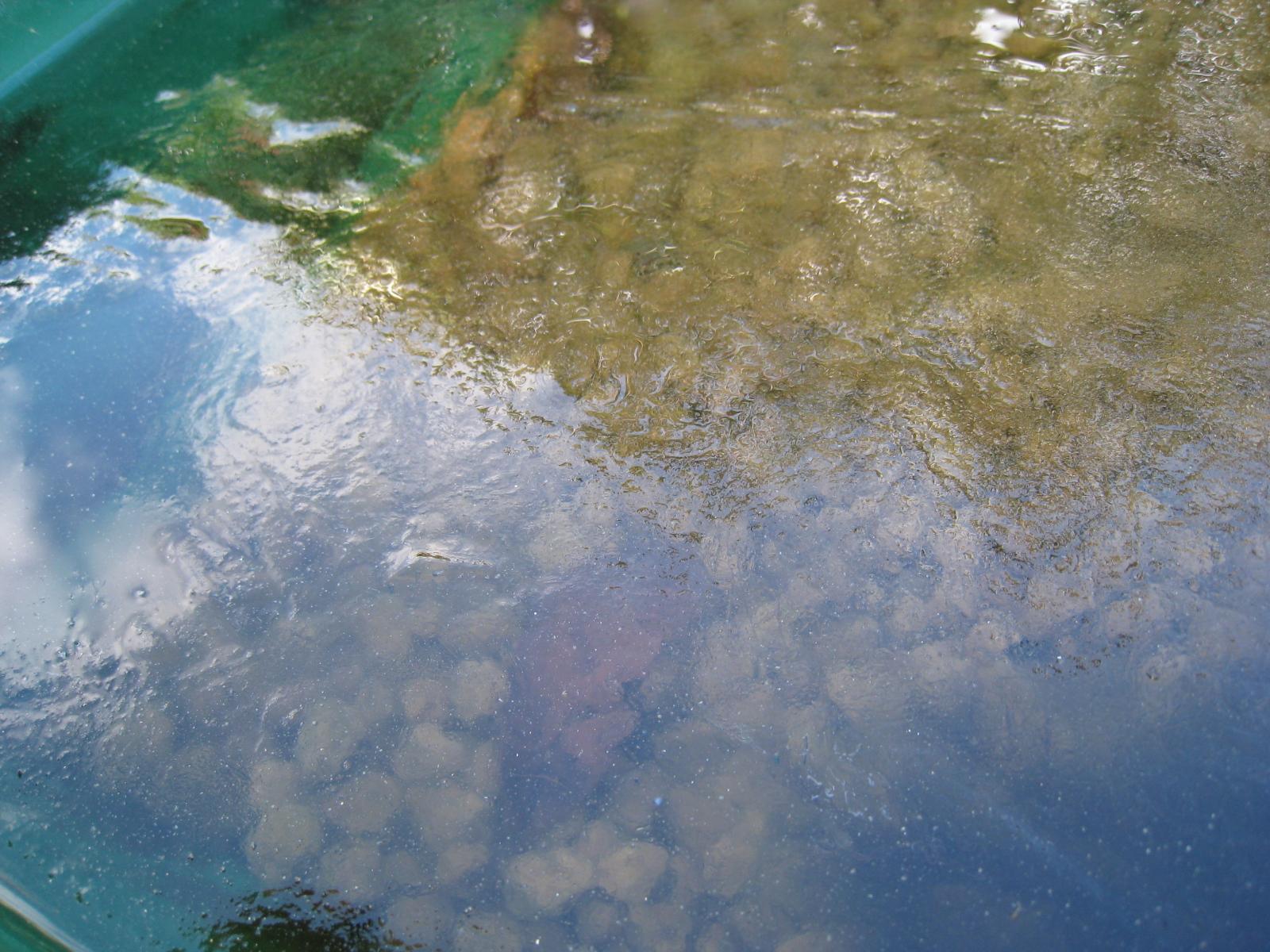 e0176785_1123216.jpg