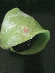 c0073987_1263853.jpg
