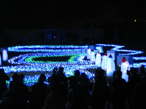 f0110488_074871.jpg