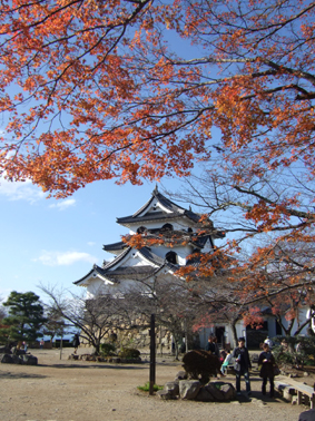 c0139591_514879.jpg