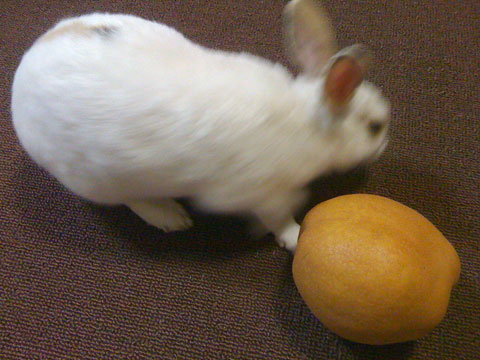 f0201191_921395.jpg