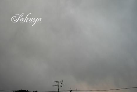 e0122194_7193458.jpg
