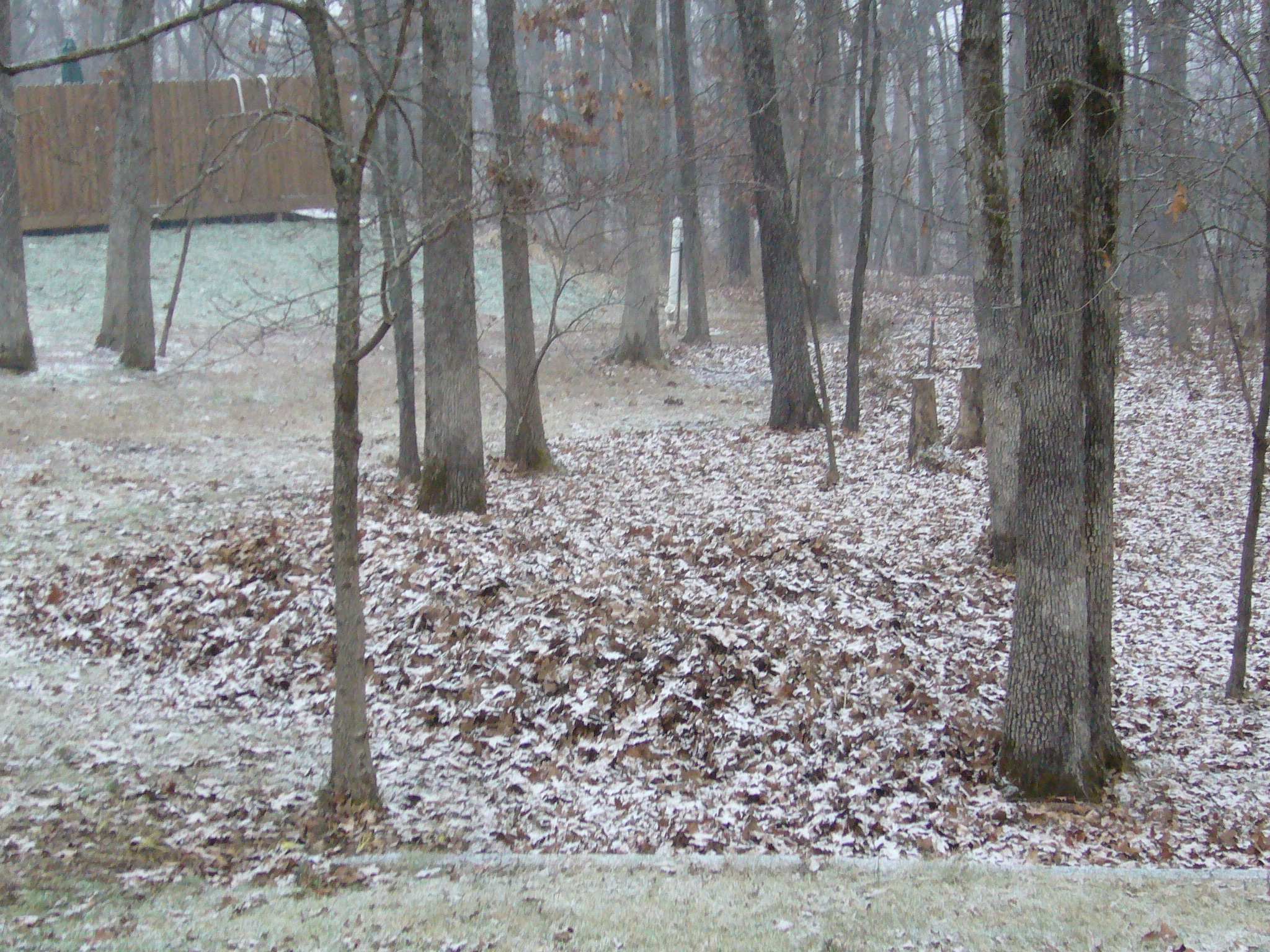 f0169397_818622.jpg