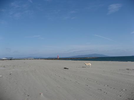 a0125598_2339215.jpg