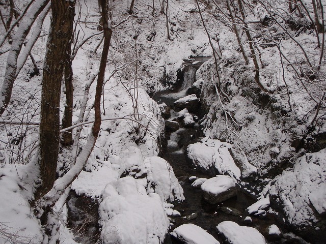 c0147398_22275241.jpg