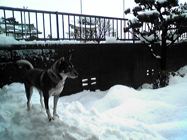 f0079202_21435799.jpg